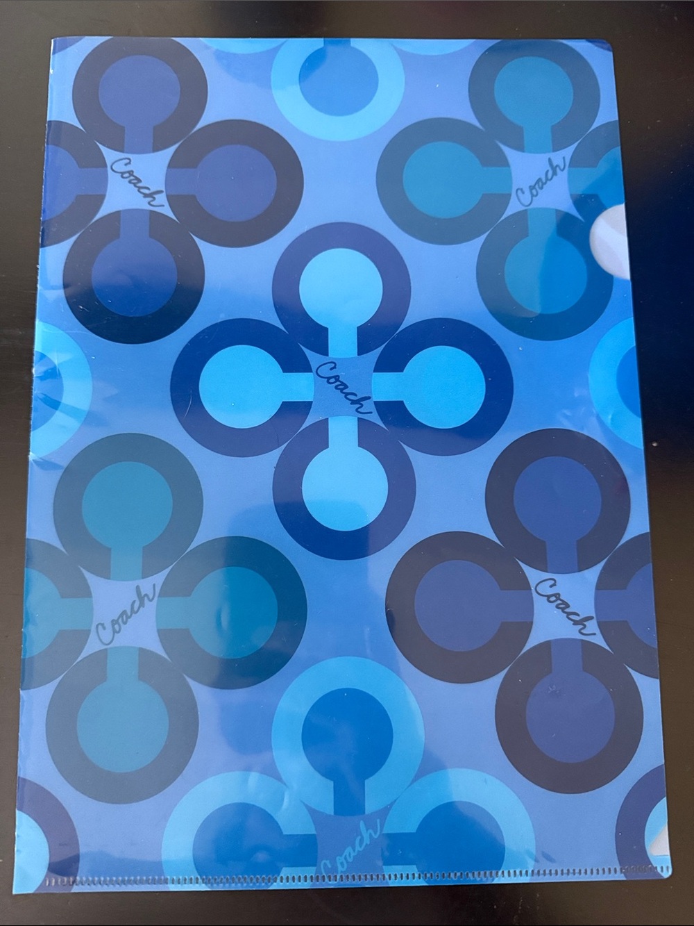 Coach Blue Graphic Signature Document Sleeve